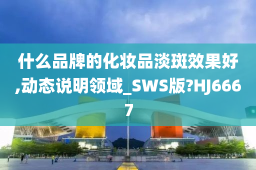 什么品牌的化妆品淡斑效果好,动态说明领域_SWS版?HJ6667