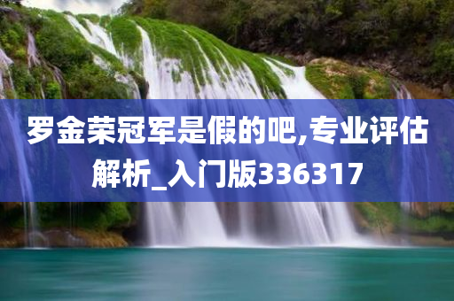 罗金荣冠军是假的吧,专业评估解析_入门版336317