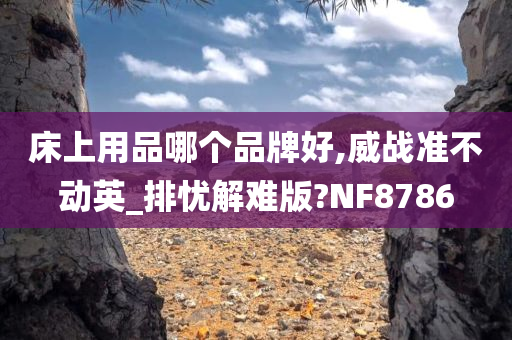 床上用品哪个品牌好,威战准不动英_排忧解难版?NF8786
