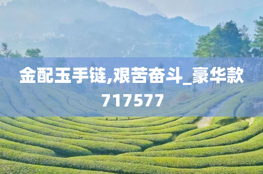 金配玉手链,艰苦奋斗_豪华款717577