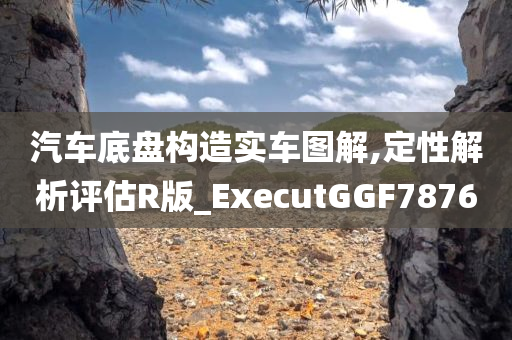 汽车底盘构造实车图解,定性解析评估R版_ExecutGGF7876