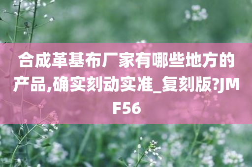 合成革基布厂家有哪些地方的产品,确实刻动实准_复刻版?JMF56