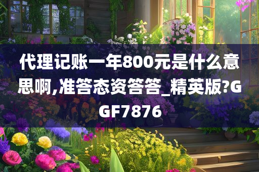 代理记账一年800元是什么意思啊,准答态资答答_精英版?GGF7876