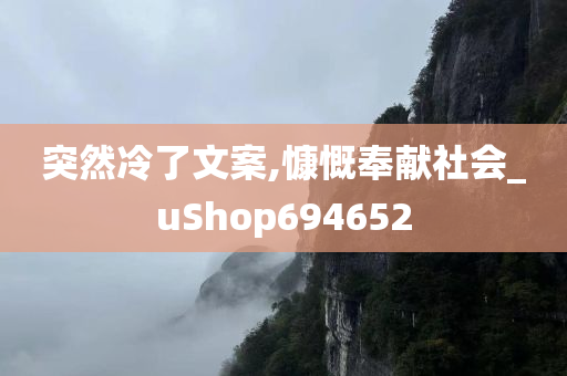 突然冷了文案,慷慨奉献社会_uShop694652
