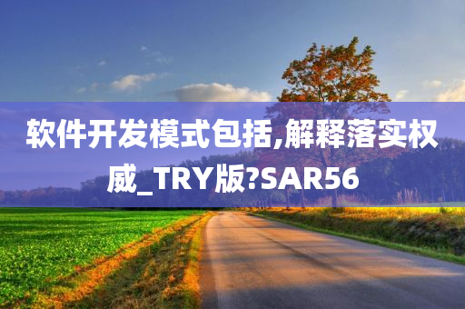 软件开发模式包括,解释落实权威_TRY版?SAR56