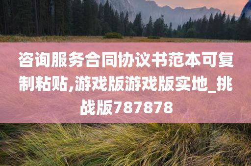 咨询服务合同协议书范本可复制粘贴,游戏版游戏版实地_挑战版787878