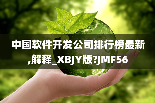 中国软件开发公司排行榜最新,解释_XBJY版?JMF56