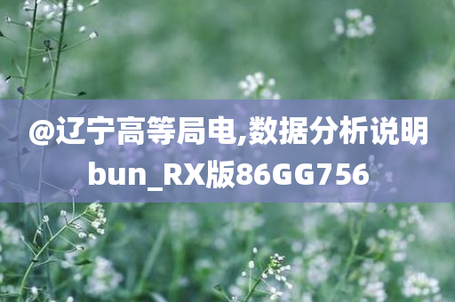 @辽宁高等局电,数据分析说明bun_RX版86GG756今晚必出三肖2025_2025新澳门精准免费提供·精确判断