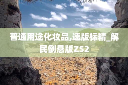 普通用途化妆品,速版标精_解民倒悬版ZS2