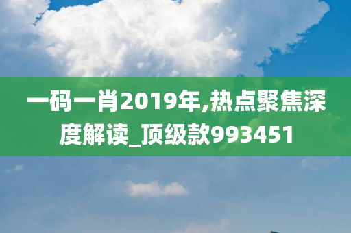 一码一肖2019年,热点聚焦深度解读_顶级款993451