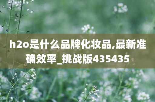 h2o是什么品牌化妆品,最新准确效率_挑战版435435