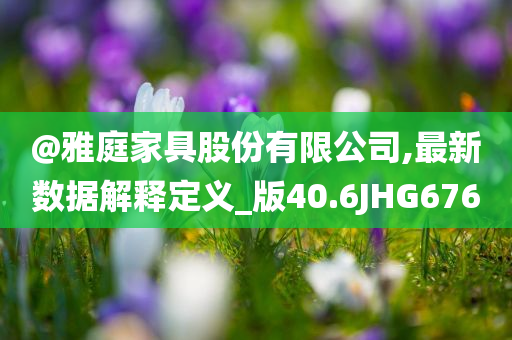 @雅庭家具股份有限公司,最新数据解释定义_版40.6JHG676