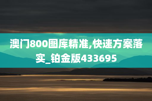 澳门800图库精准,快速方案落实_铂金版433695