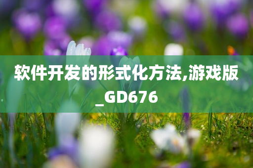 软件开发的形式化方法,游戏版_GD676