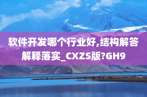 软件开发哪个行业好,结构解答解释落实_CXZS版?GH9