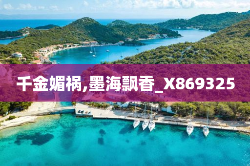 千金媚祸,墨海飘香_X869325