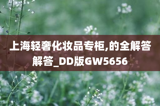 上海轻奢化妆品专柜,的全解答解答_DD版GW5656
