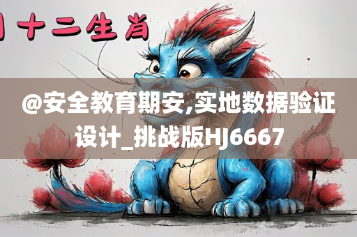 @安全教育期安,实地数据验证设计_挑战版HJ6667