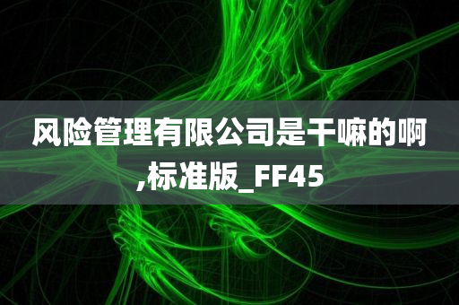 风险管理有限公司是干嘛的啊,标准版_FF45