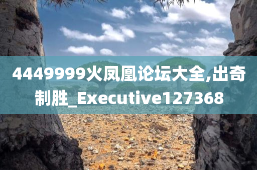 4449999火凤凰论坛大全,出奇制胜_Executive127368