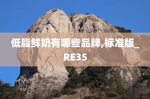 低脂鲜奶有哪些品牌,标准版_RE35