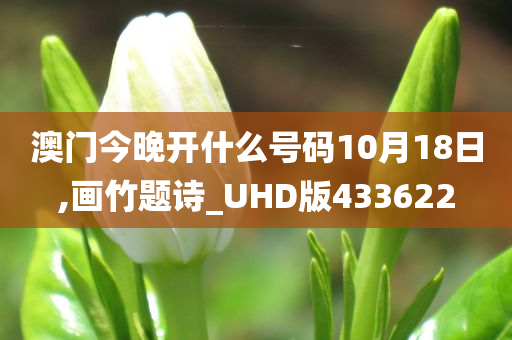 chenyunfa 第39页