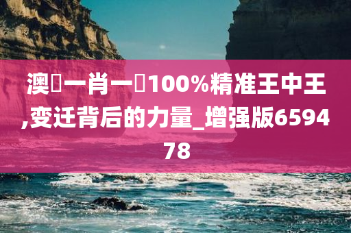 澳門一肖一碼100%精准王中王,变迁背后的力量_增强版659478