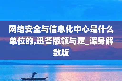 网络安全与信息化中心是什么单位的,迅答版领与定_浑身解数版
