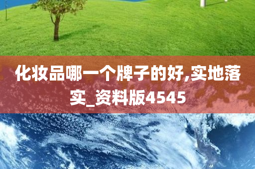 化妆品哪一个牌子的好,实地落实_资料版4545