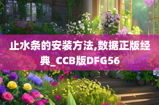 止水条的安装方法,数据正版经典_CCB版DFG56