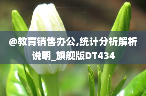 @教育销售办公,统计分析解析说明_旗舰版DT434今晚必出三肖2025_2025新澳门精准免费提供·精确判断