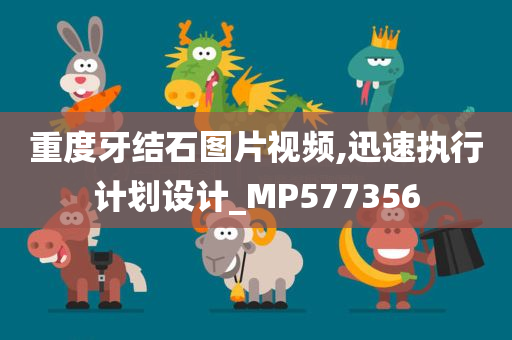 重度牙结石图片视频,迅速执行计划设计_MP577356