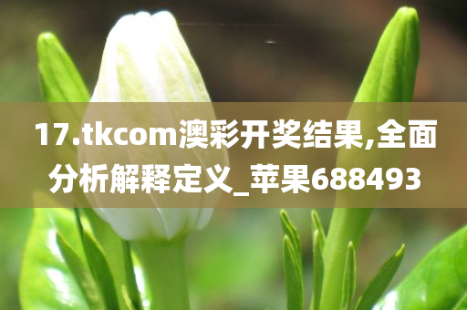 17.tkcom澳彩开奖结果,全面分析解释定义_苹果688493