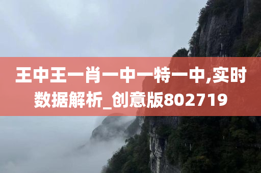 王中王一肖一中一特一中,实时数据解析_创意版802719