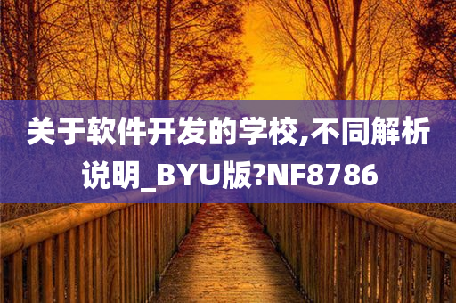 关于软件开发的学校,不同解析说明_BYU版?NF8786