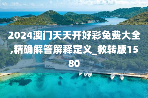 2024澳门天天开好彩免费大全,精确解答解释定义_救转版1580