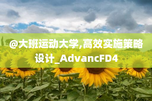 @大班运动大学,高效实施策略设计_AdvancFD4