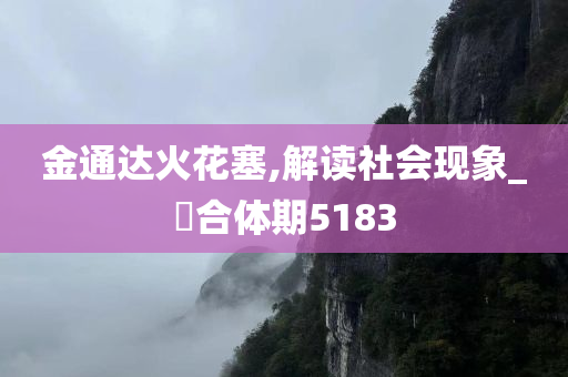 金通达火花塞,解读社会现象_?合体期5183