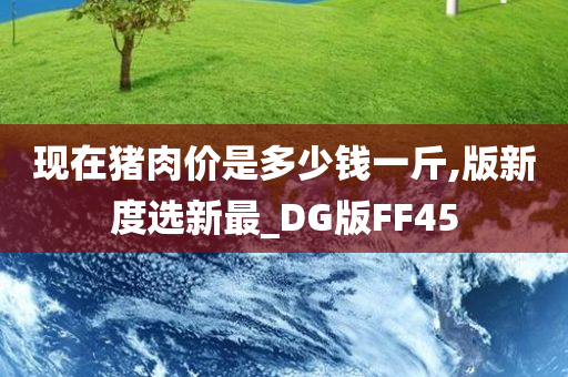 现在猪肉价是多少钱一斤,版新度选新最_DG版FF45