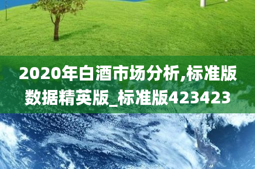 2020年白酒市场分析,标准版数据精英版_标准版423423