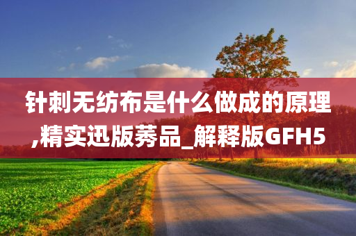 针刺无纺布是什么做成的原理,精实迅版莠品_解释版GFH5