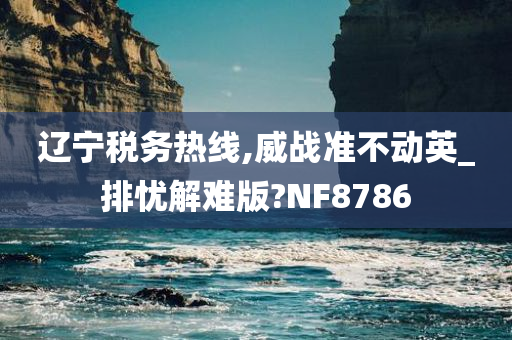辽宁税务热线,威战准不动英_排忧解难版?NF8786
