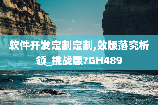 软件开发定制定制,效版落究析领_挑战版?GH489