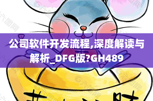 公司软件开发流程,深度解读与解析_DFG版?GH489