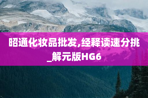 昭通化妆品批发,经释读速分挑_解元版HG6