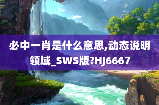 必中一肖是什么意思,动态说明领域_SWS版?HJ6667