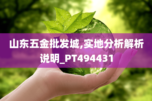 yangyuting 第32页