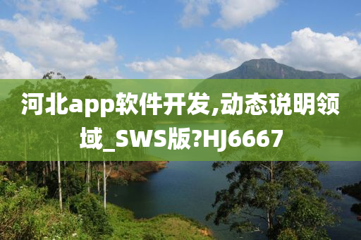 河北app软件开发,动态说明领域_SWS版?HJ6667
