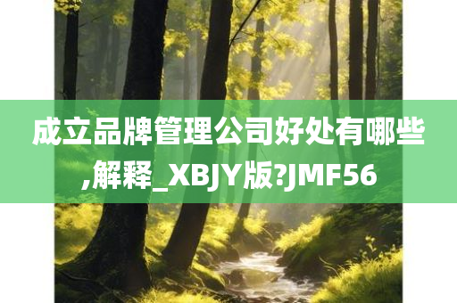 成立品牌管理公司好处有哪些,解释_XBJY版?JMF56