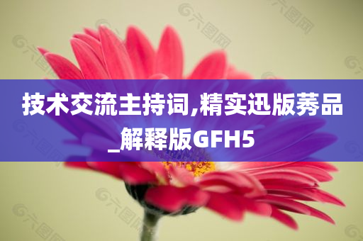 技术交流主持词,精实迅版莠品_解释版GFH5